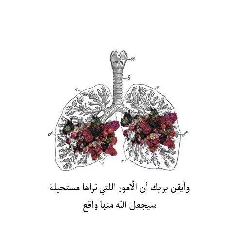 cloudfarah's tweet photo. إِنَّ اللَّهَ يحبُّ الْمُحْسِنِينَ 
لاتحزن على طيبتك وإحسانك فإن لم يوجد في الأرض من يقدِّرها ففي السماءمن يباركها🌹 https://t.co/d1yNUMWCvs