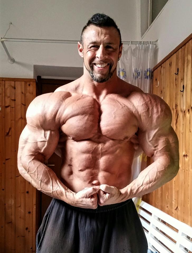 Muscle Lover on Twitter: "#Italian horse Fabio Romagnolo https://t.co ...