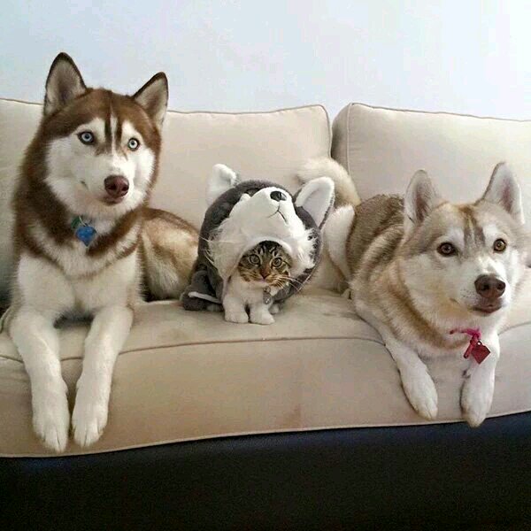 ladivinamichi's tweet photo. Jajaja https://t.co/bjf5ASvnli