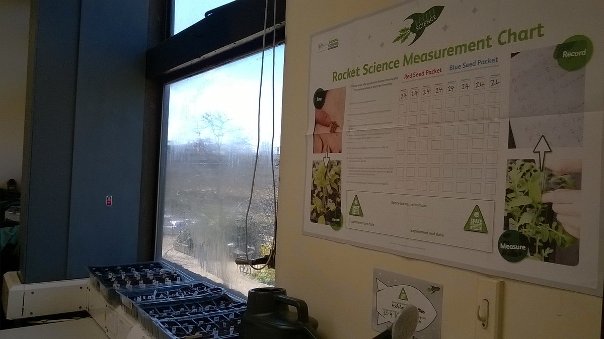 UOLAstRoSoc's tweet photo. Taking over part of the Second Year Lab! Rocket Science happening as 100 rocket seeds from the ISS begin to grow... https://t.co/1KWpfkv68P