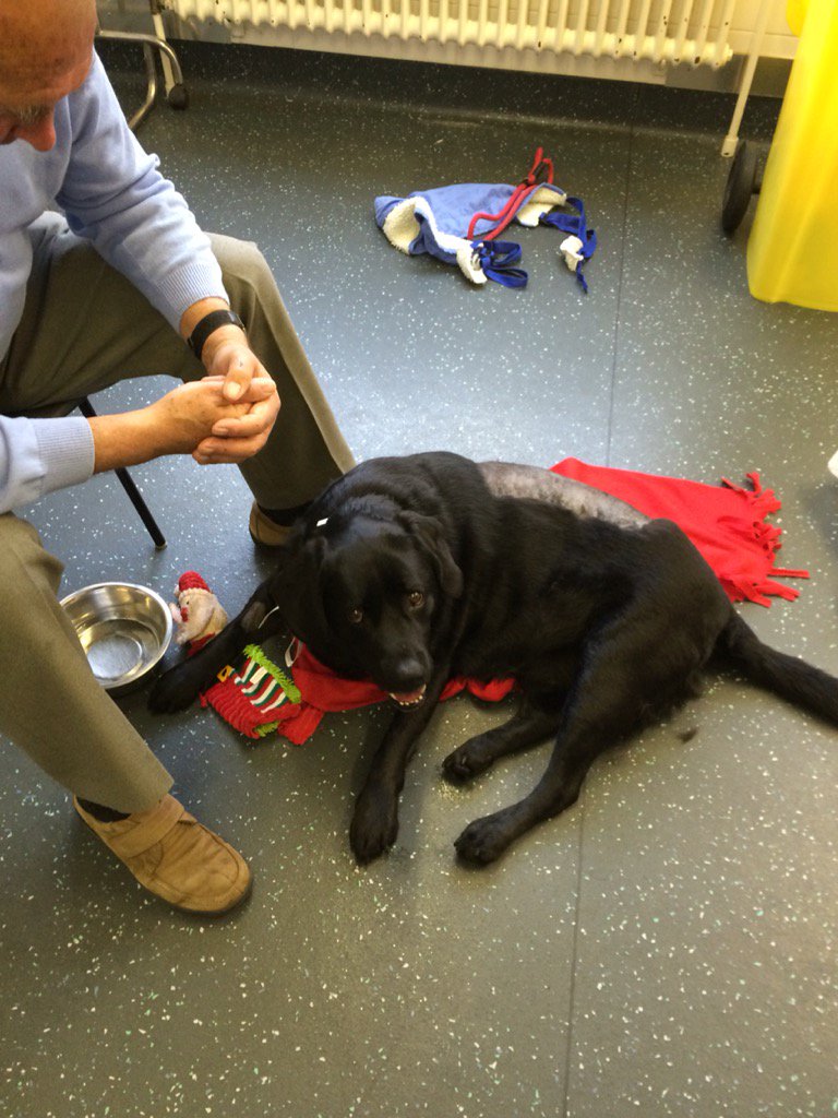 nathanb100's tweet image. #prayformemphis