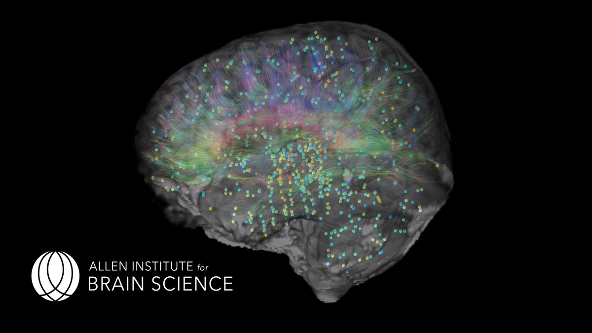 AllenInstitute's tweet photo. Our #HumanBrainAtlas is nominated in the @GeekWire Awards! Cast your vote here: https://t.co/OrRHObrj9x #gwawards https://t.co/AzGg4sMPbV
