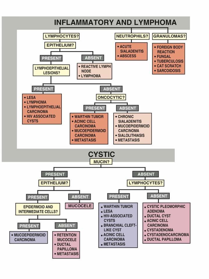 pdf Fractals and