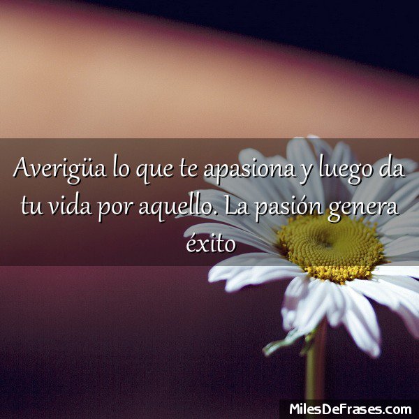 iGreatestQuotes's tweet photo. Averigüa lo que te apasiona y luego da tu vida por aquello. La pasión genera éxito
 #frases #citas https://t.co/XPUpIAFN46