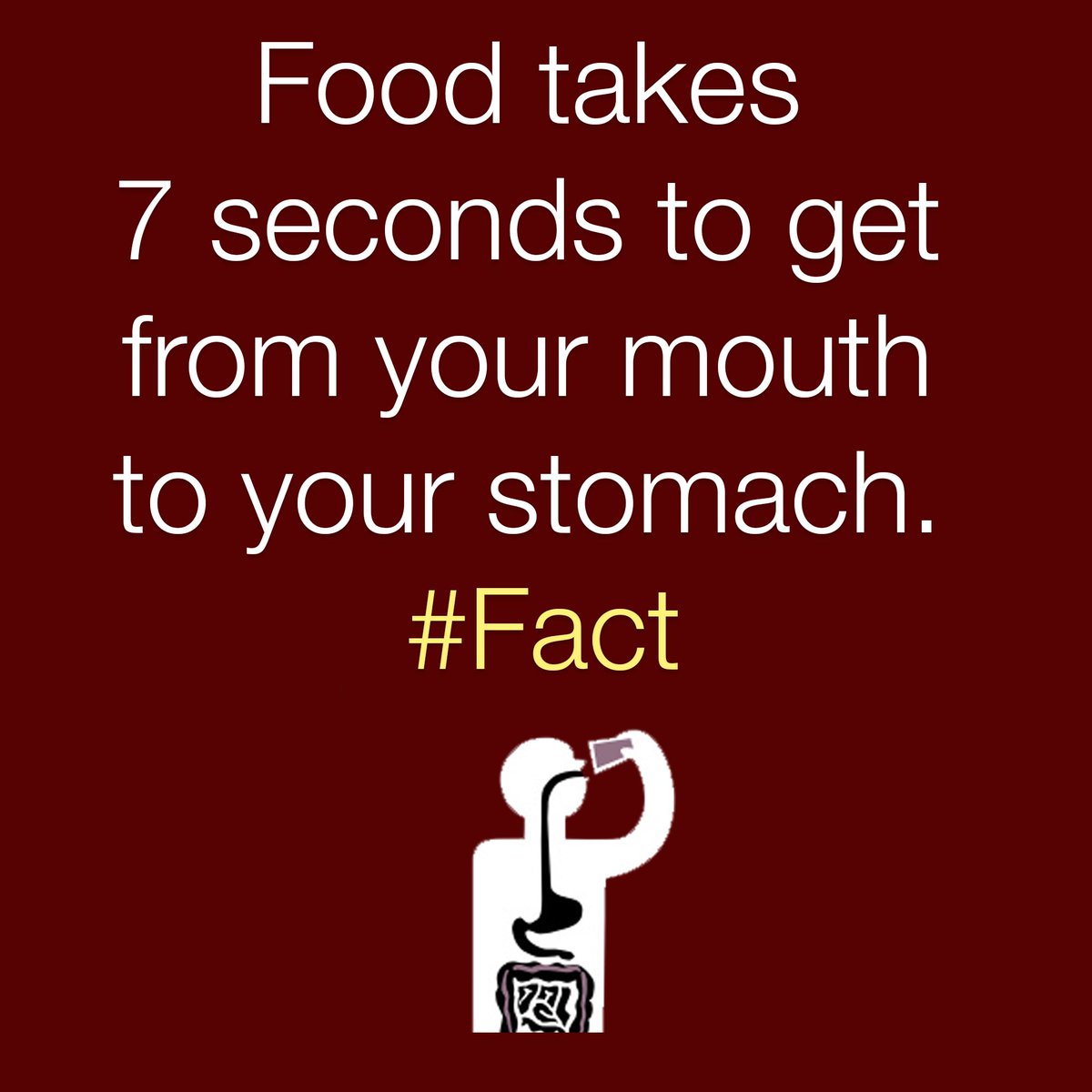 PrincetonLabs's tweet photo. Here's today #Fact about your body. #DailyHealth https://t.co/8DqRLkbFDL