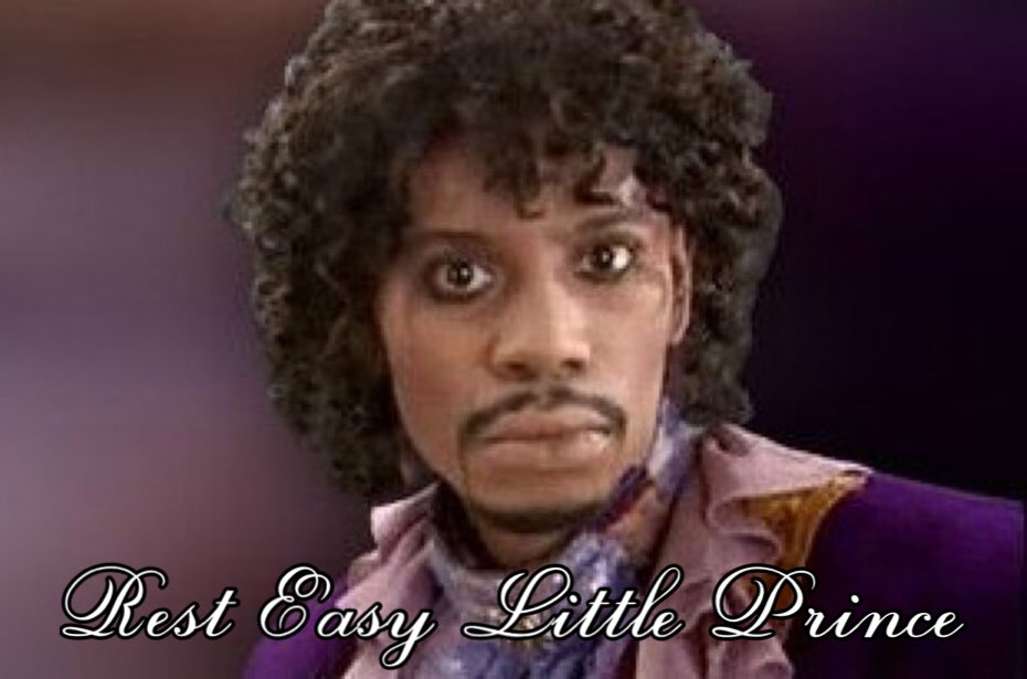 PJ_Bassett's tweet photo. Rest easy little Prince.... My tribute to him. Please share https://t.co/K49Ezh60Rf