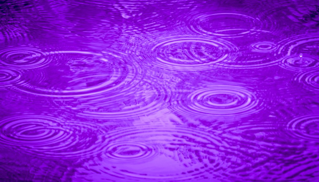 Purple rain of tears

Prince est parti s'éclater avec Bowie