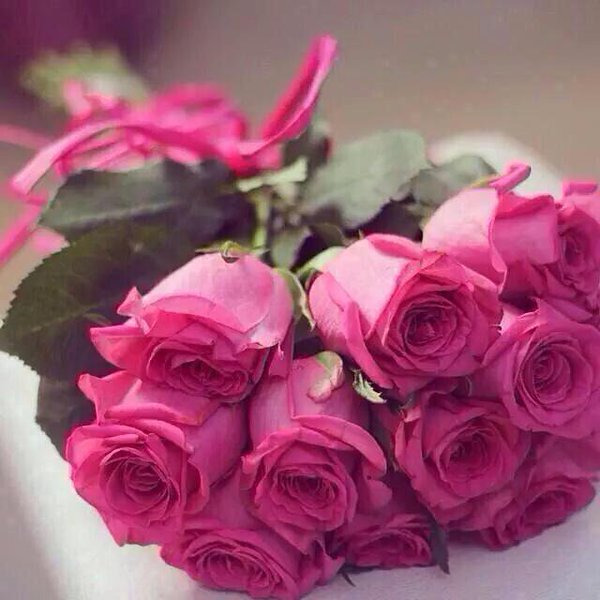 sweetnonocute's tweet photo. #EMARATI___1_500K مبرووووك https://t.co/OseSPwHuPm