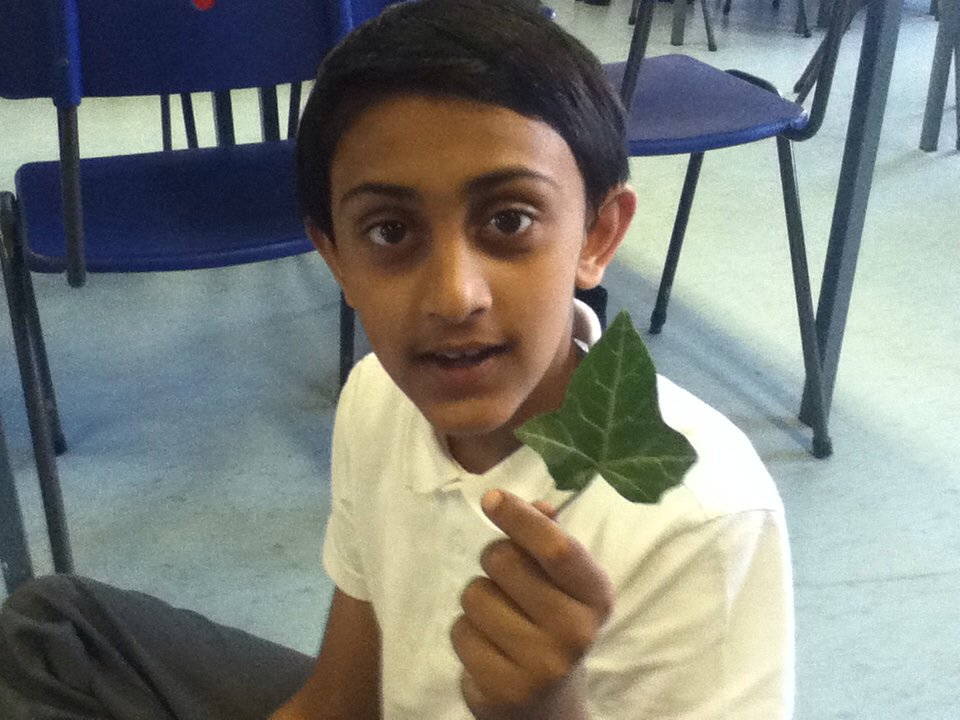 St Patrick's Year 3 tweet media