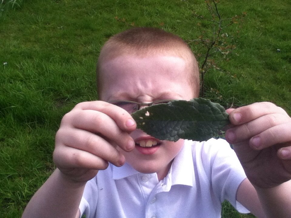 St Patrick's Year 3 tweet media
