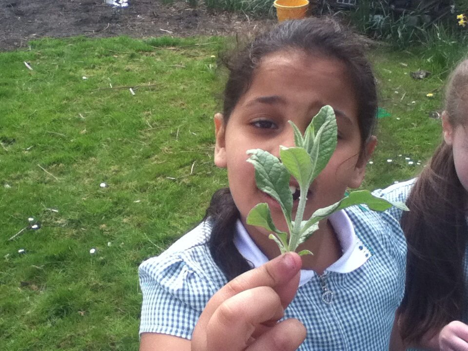 St Patrick's Year 3 tweet media