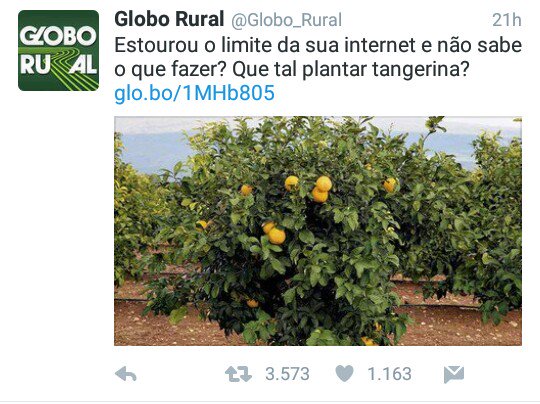kaio_leeite's tweet photo. Aí Acaba Nossa Net Eles Mandam Plantar Tangerina😂
Vou Plantar Tangerina No Krl Só pode
@Leaozinhaa_  @JooycSouzaa https://t.co/sfjp4Oh1S4