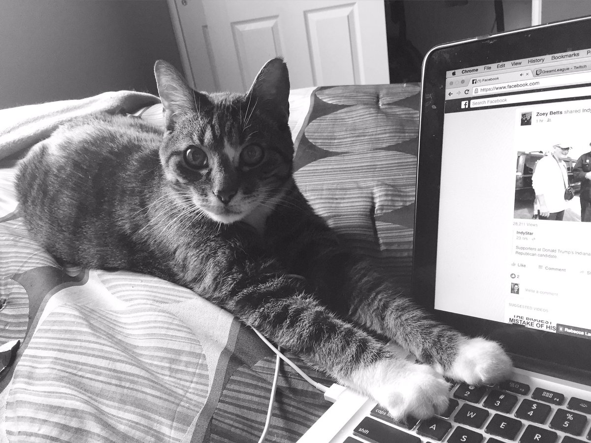 RyanElijahBoyd's tweet photo. Of all places Sam....😡 https://t.co/wsk7S50Mwq