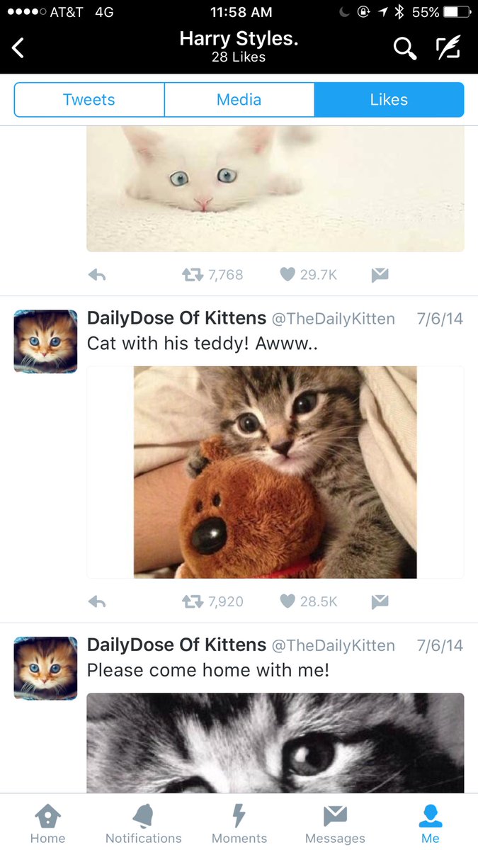 BrennenTaylor's tweet photo. Harry loves cats https://t.co/xyuI5ixuNt