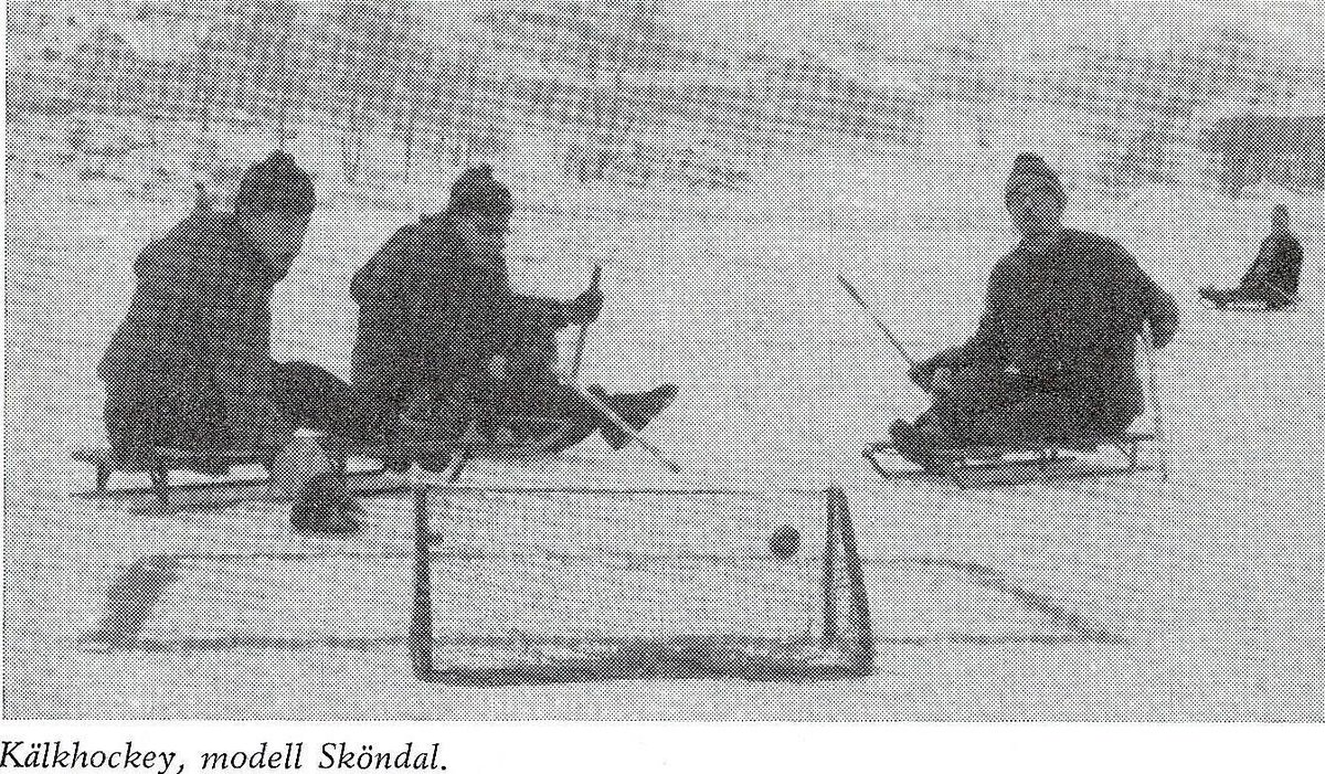 Para Ice Hockey News tweet media