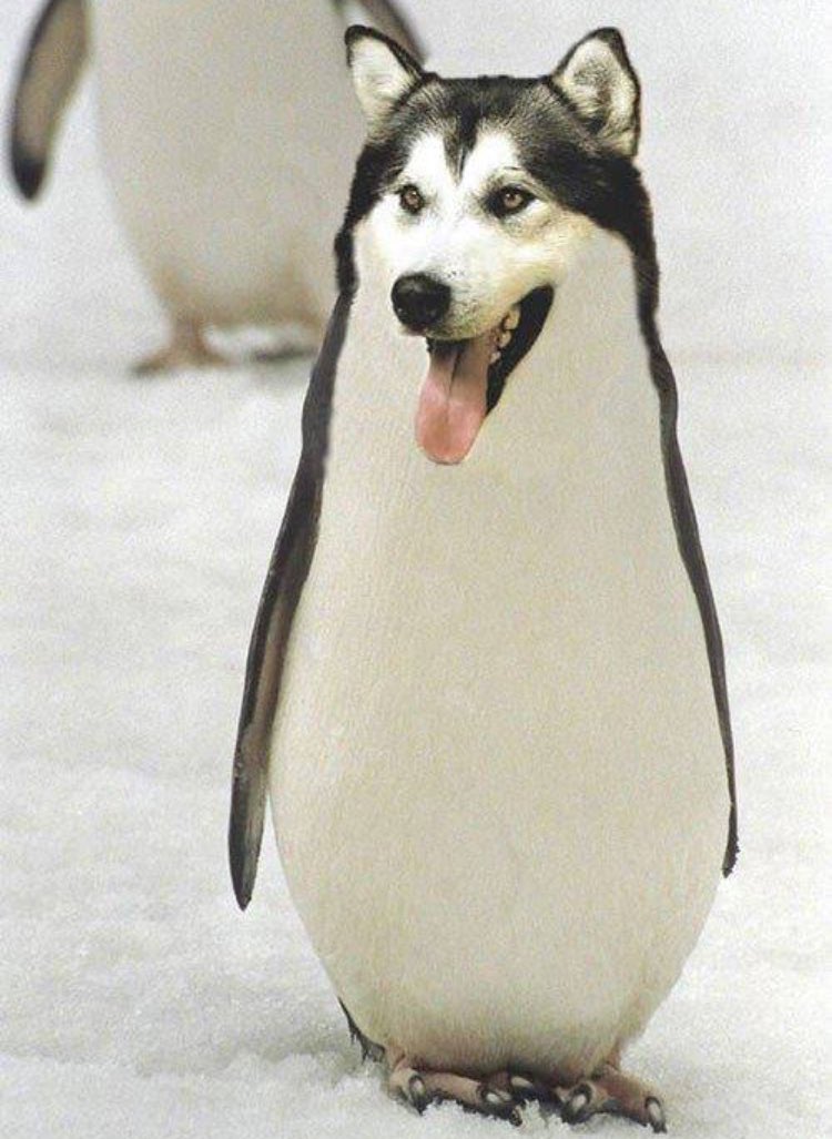 Stag_GFX's tweet photo. Some people aren't a pleasure to work with when making GFX. So here's something to cheer you up. https://t.co/M2BfvPkUCm