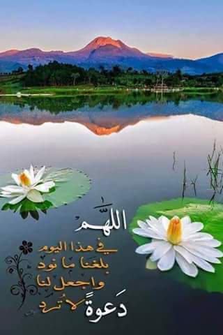 أواخرالشتاء (@alwaleedalameen) on Twitter photo 