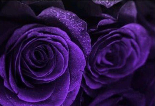 Claire_l tweet media