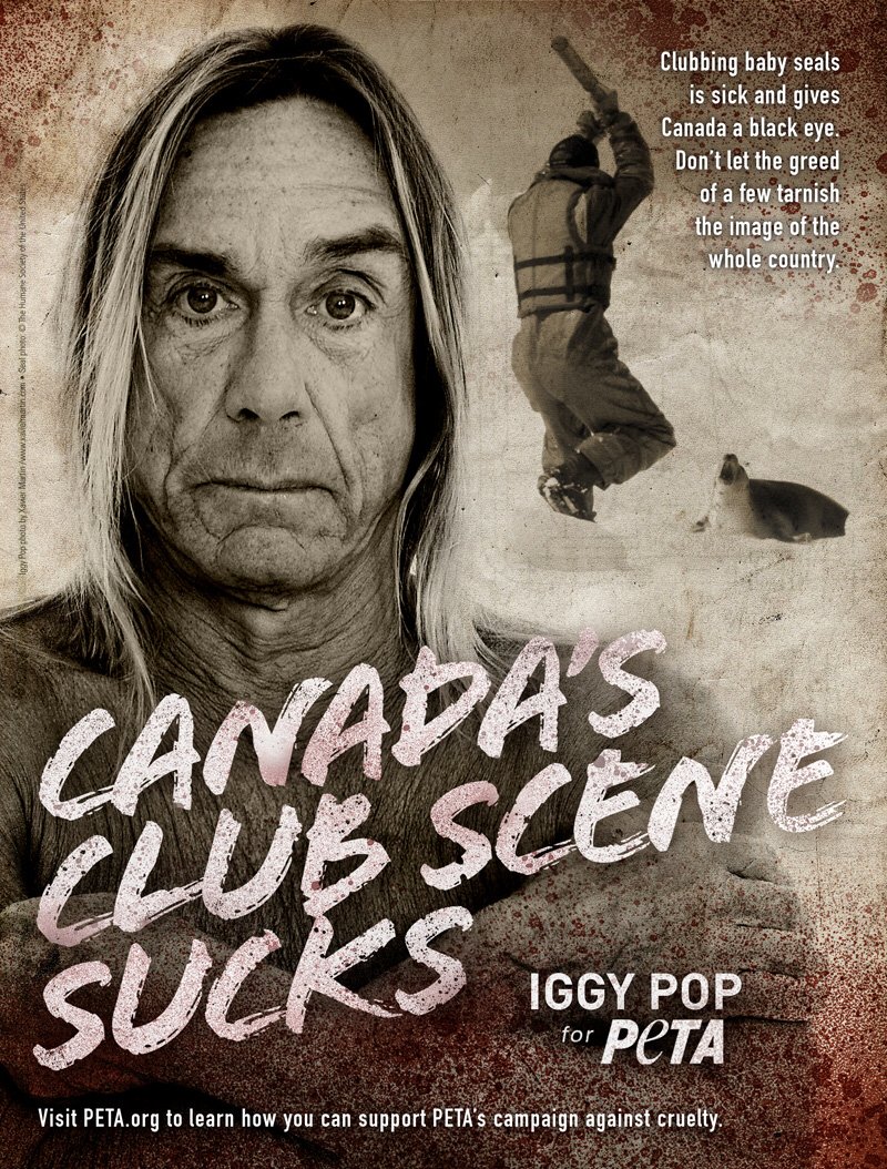 peta's tweet photo. Happy Birthday @IggyPop! Thank you for speaking up for seals killed in the Canadian commercial seal slaughter. ✊ https://t.co/biuHYeyKgJ