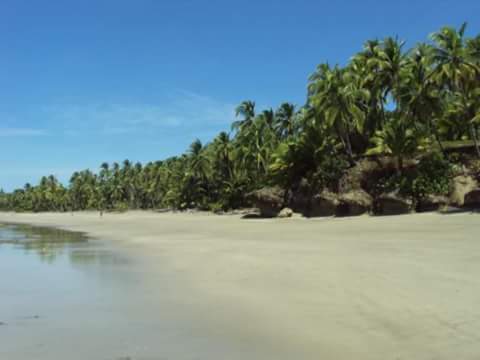TerrenosPMA's tweet photo. 92 Has en #ISLA #COLON
acceso a AGUA y LUZ
1KM #PLAYA
AVALUO: 119 x mt
VENTA: 54 x mt
+ info https://t.co/uiX6OgkcU7 https://t.co/V7fbq5MKJI