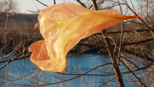 Greenpeace's tweet photo. Humans have created 5 bil tons of plastic, and it’ll leave an indelible scar on Earth https://t.co/5lfMXJX2Fg https://t.co/hVwRt8FrKf