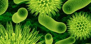 garyahecker's tweet photo. Global action is needed as antibiotics fail against drug resistant bacteria #superbug https://t.co/GWSJtupm8g https://t.co/pfKWbI2Law