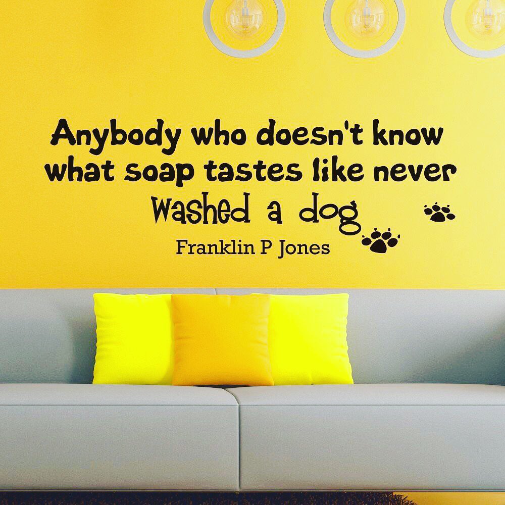 de_grooming's tweet photo. So very true! #doggrooming #dogsexclusive https://t.co/i6BWiMB16A
