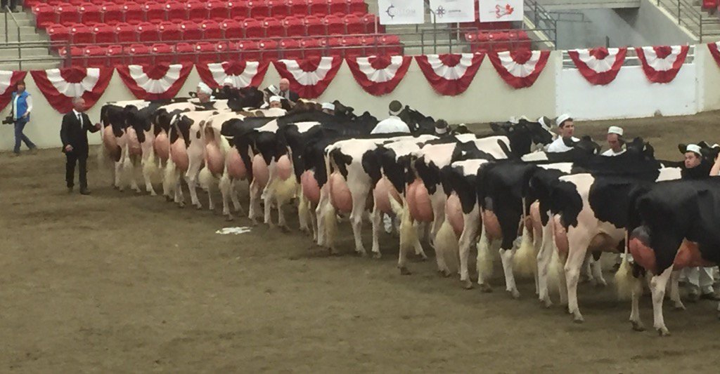 Richard Bosma tweet media