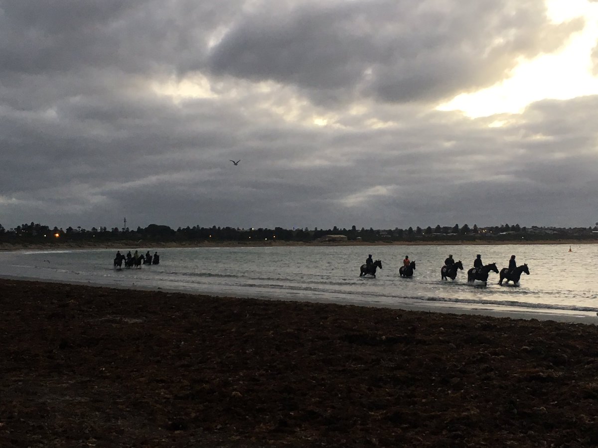 Great way to start the morning #MayRaces not that far away #TheBool <a href="/DKWeirRacing/">Darren Weir Racing</a> <a href="/wilde_racing/">Wilde Racing</a>