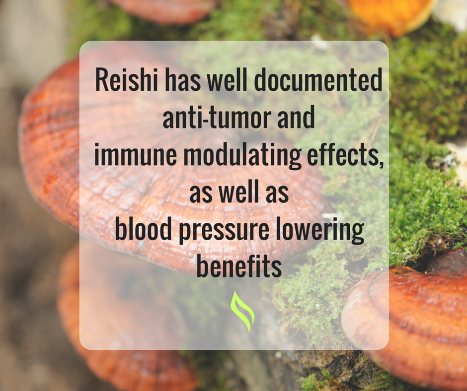 Tranzend Health tweet media