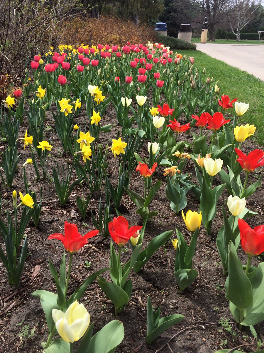 gustiearts's tweet photo. Need a mental break? Try the Arb. https://t.co/UmifHGm6mI