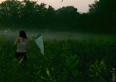 Fink_about_it's tweet image. My #GatewayToScience was growing up collecting insects in Illinois prairies and Wisconsin forests @realscientists