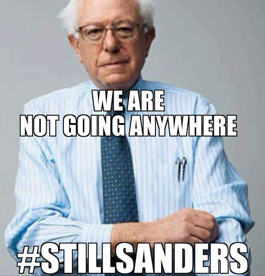 xdelmar59's tweet photo. I just LOVE this meme the Burnie kids put out. Not sure they realize how SADLY TRUE this is.  #FeeltheBern #NotmeUs https://t.co/JH0P4jq1XW