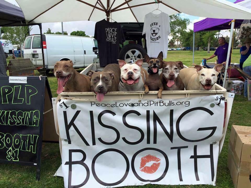 dogsd_rule's tweet photo. Who doesn't love kisses? #Doglovers #pitbulls #dogsoftwitter https://t.co/qioGbjkpdp