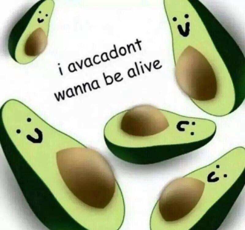 introvertsmemes's tweet image. to sum up how studying is going: