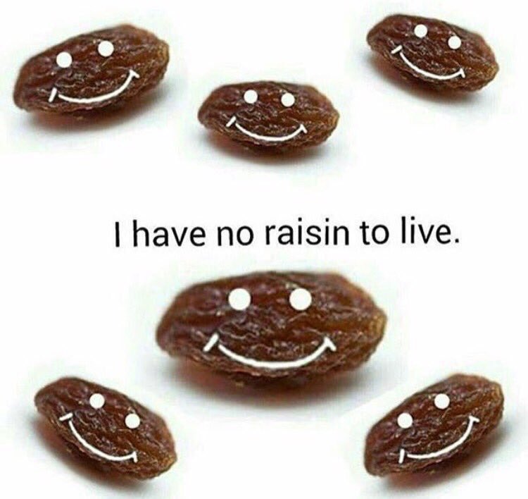 introvertsmemes's tweet image. to sum up how studying is going: