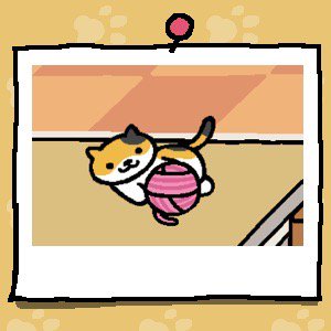 金言ねこあつめ