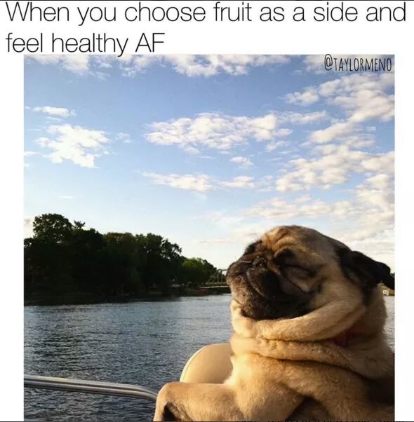 Littleladynerd's tweet photo. No bacon and extra fruit please. I am feeling #healtyasfuck #healthyaf #allinmoderation https://t.co/5wNxJv5Sl6