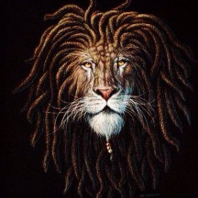 devine144's tweet image. 