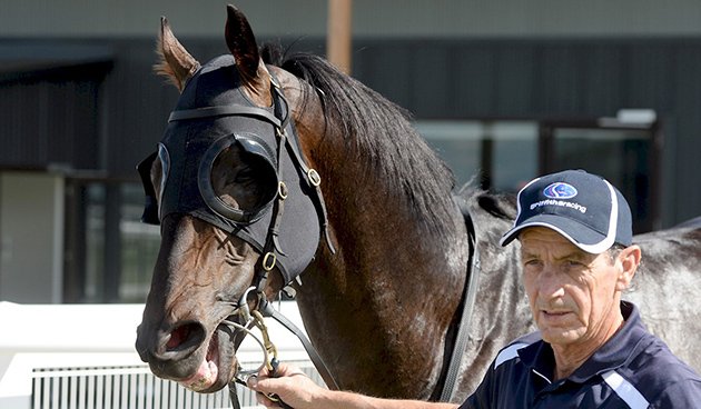 Racing's tweet photo. If you're having a wager at Colac or Cranbourne today, our #3TW is worth a look. https://t.co/6KOJiaMZ8T https://t.co/eX9YNMIW8d