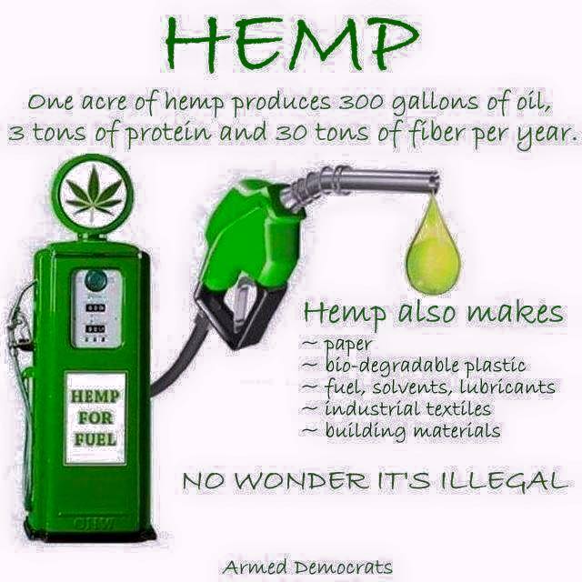 Industrial hemp is still illegal to grow in the US.  REMINDER: Hemp can't get you high.
