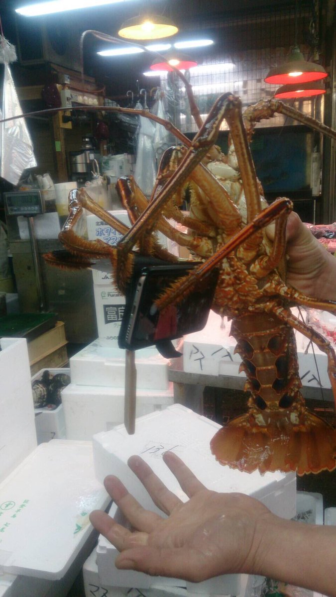 【世界初？】イセエビが撮った写真がツイッターに流れる Togetter [トゥギャッター]