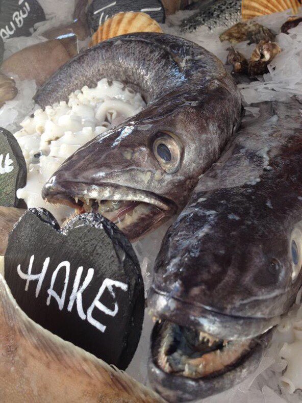 NewlynFishing tweet media