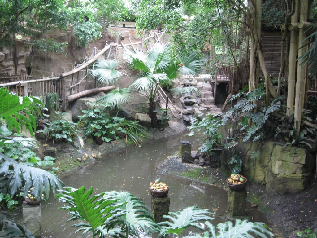 Een hele Jungle voor jezelf? Center Parcs Het Heijderbos heeft nu een hele mooie aanbieding!groupon.nl/deals/ga-cente…