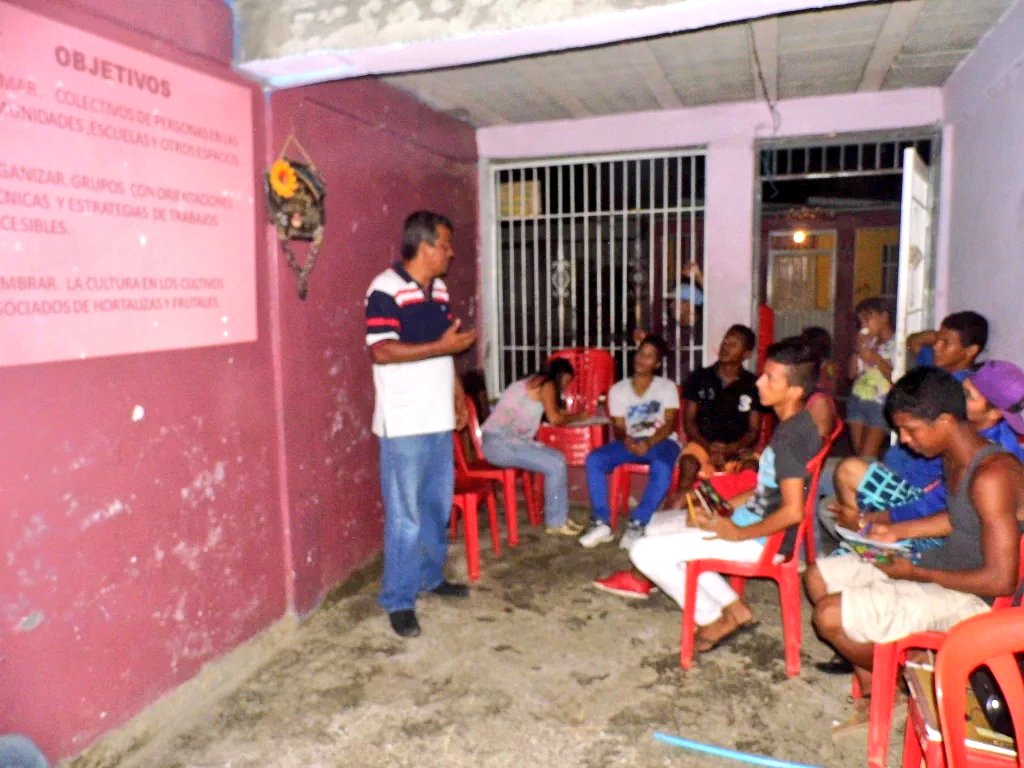 MisionArbolPortug tweet media
