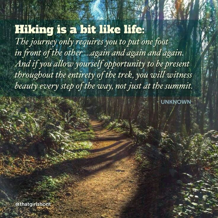 Meggotron1's tweet photo. Love it #hiking #sorelegs https://t.co/AD3YYhQ0u7