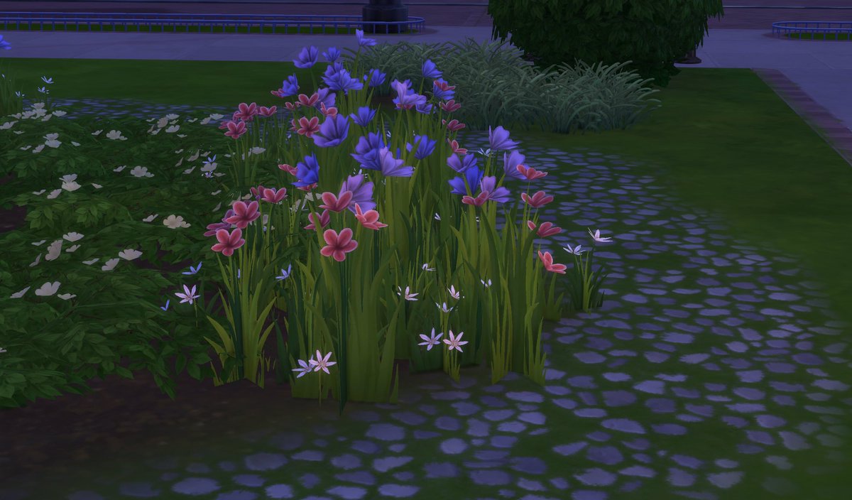 Simsicle's tweet photo. Keeping things fresh & changing it up a bit with simsicle's media 💚 #simsicle-stick https://t.co/OIz9xtHoZF