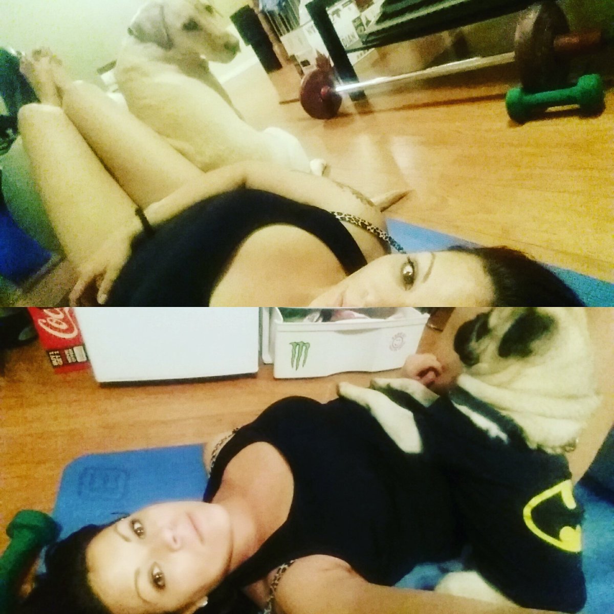 Meggotron1's tweet photo. Working out with dogs. Lol #dogs #puglove https://t.co/nfxhCIWP5e