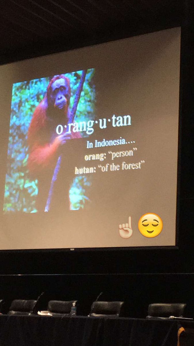 ferchip's tweet photo. Conocimos a la maravillosa @DrBirute, gran ser humano, trabajando x los orangutanes. We loves you 🌈🐵 #AvoidPalmOil https://t.co/fXStxaRPRS