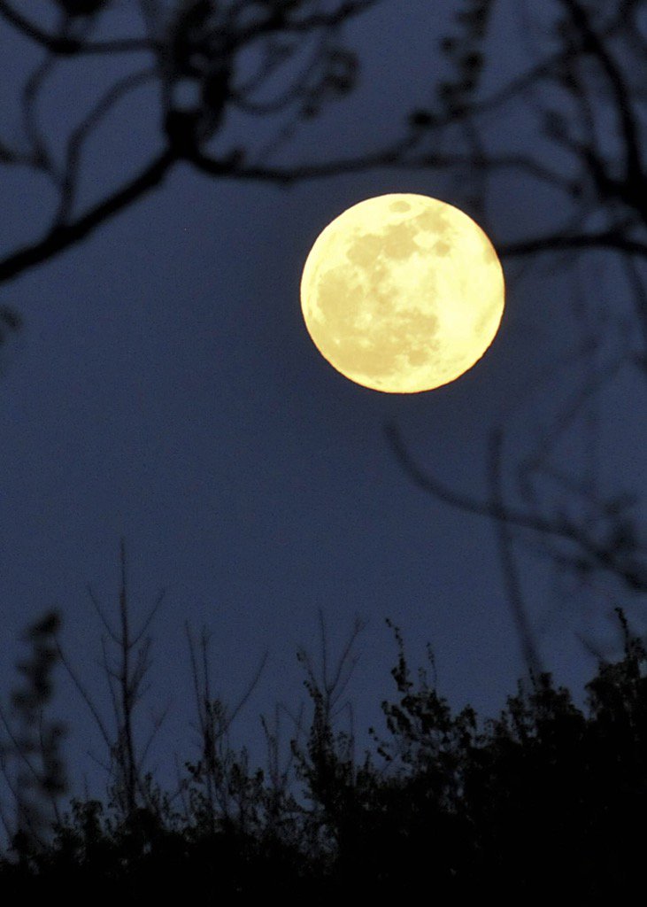 JMSasenick's tweet photo. Great Moon tonight - @fox4wx 

#JMSDailyImage https://t.co/fdUep1CUzG